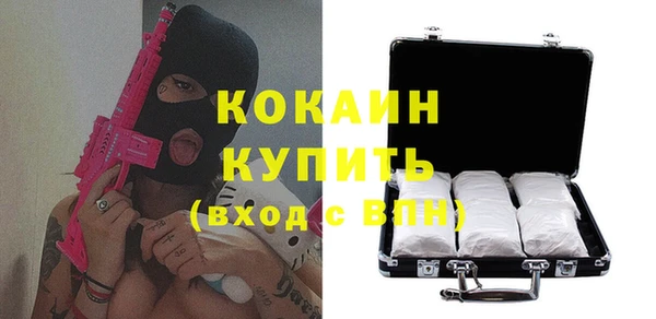 кокс Алексин