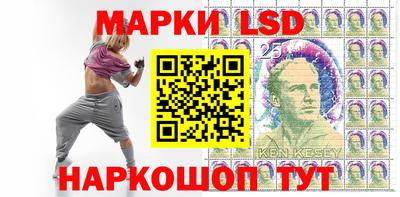 PSILOCYBIN Гатчина