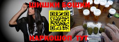 PSILOCYBIN Гатчина
