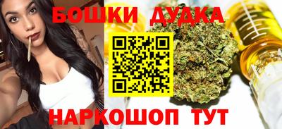 PSILOCYBIN Гатчина