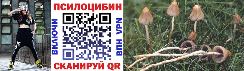 Псилоцибиновые грибы ЛСД Георгиевск