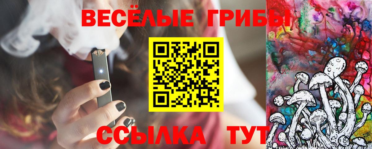 Псилоцибиновые грибы GOLDEN TEACHER Георгиевск