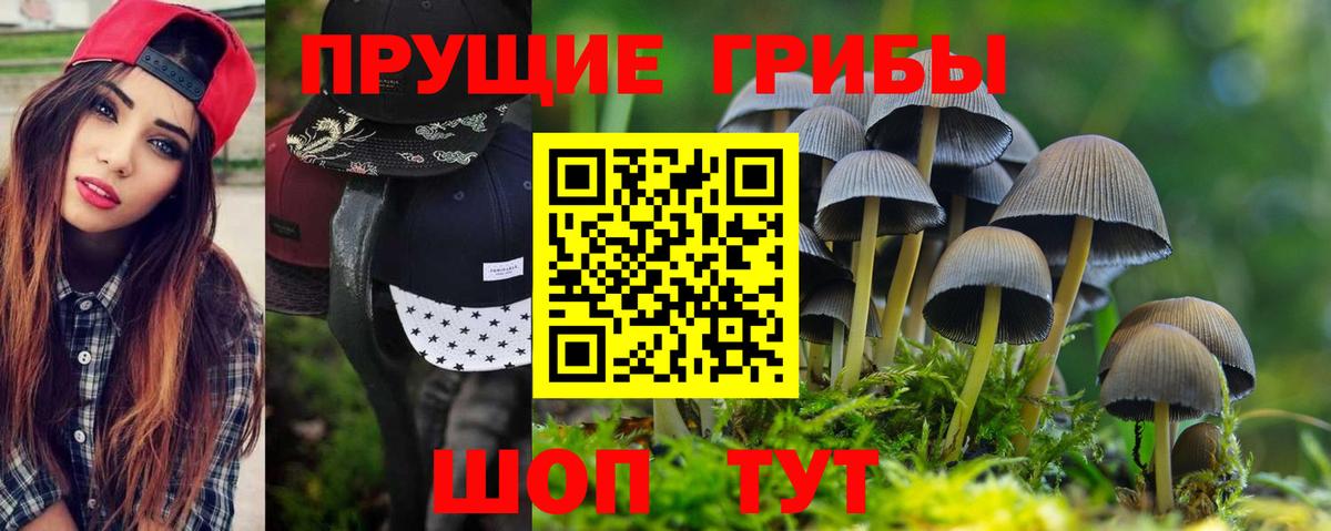Георгиевск  Псилоцибиновые грибы ЛСД  Вход с VPN  Галлюциногенные грибы MAGIC MUSHROOMS 